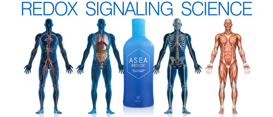 Redox Signaling Science by ASEA